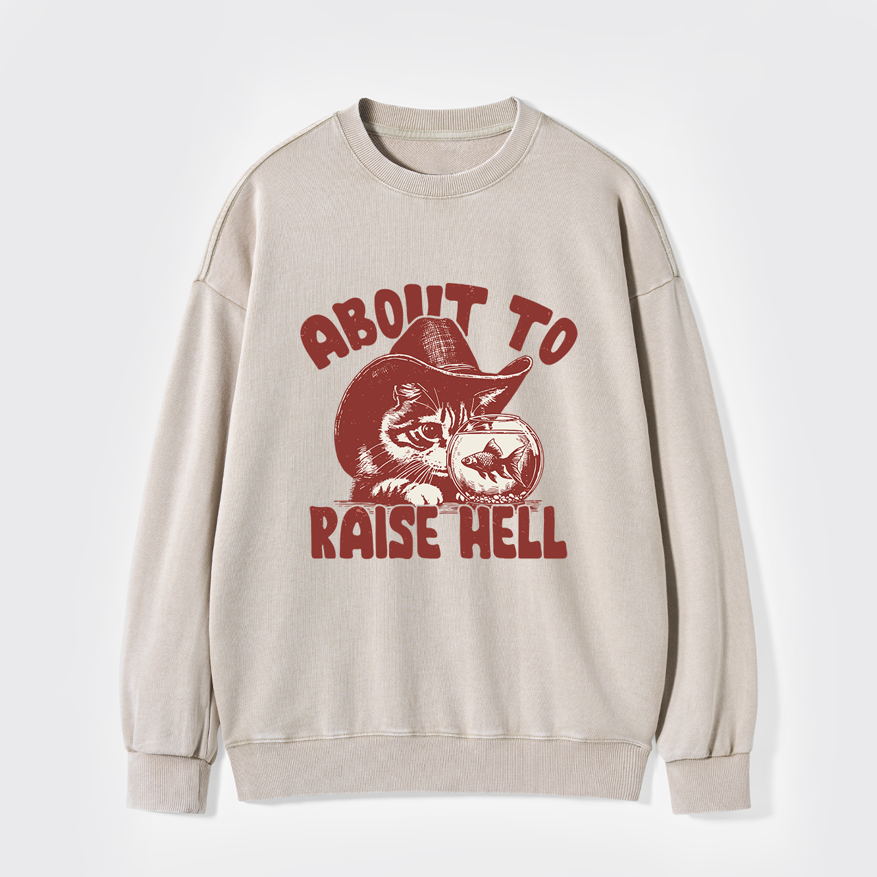 About To Raise Hell Washed Sweatshirts