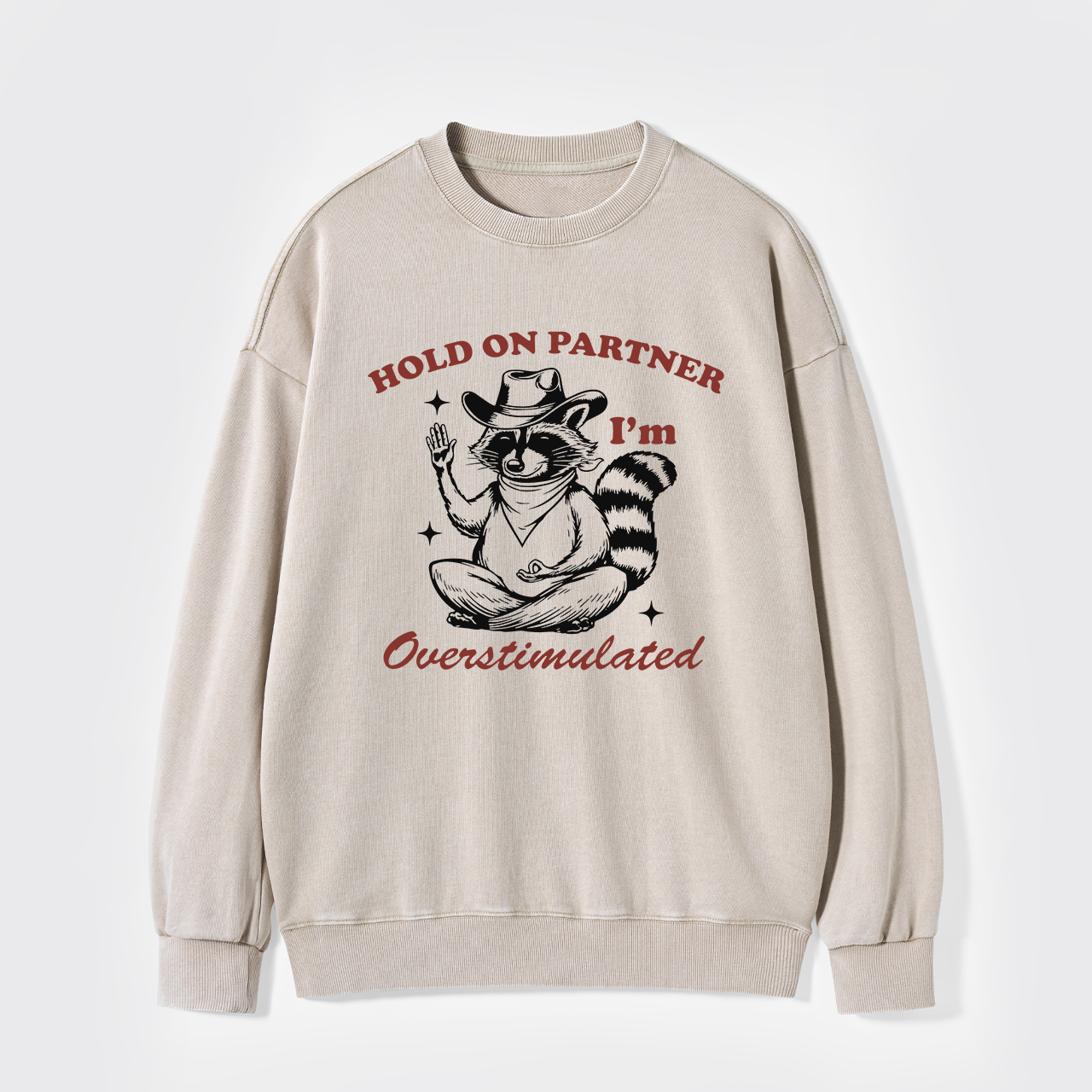 Hold On Partner I'm Overstimulated Washed Sweatshirts