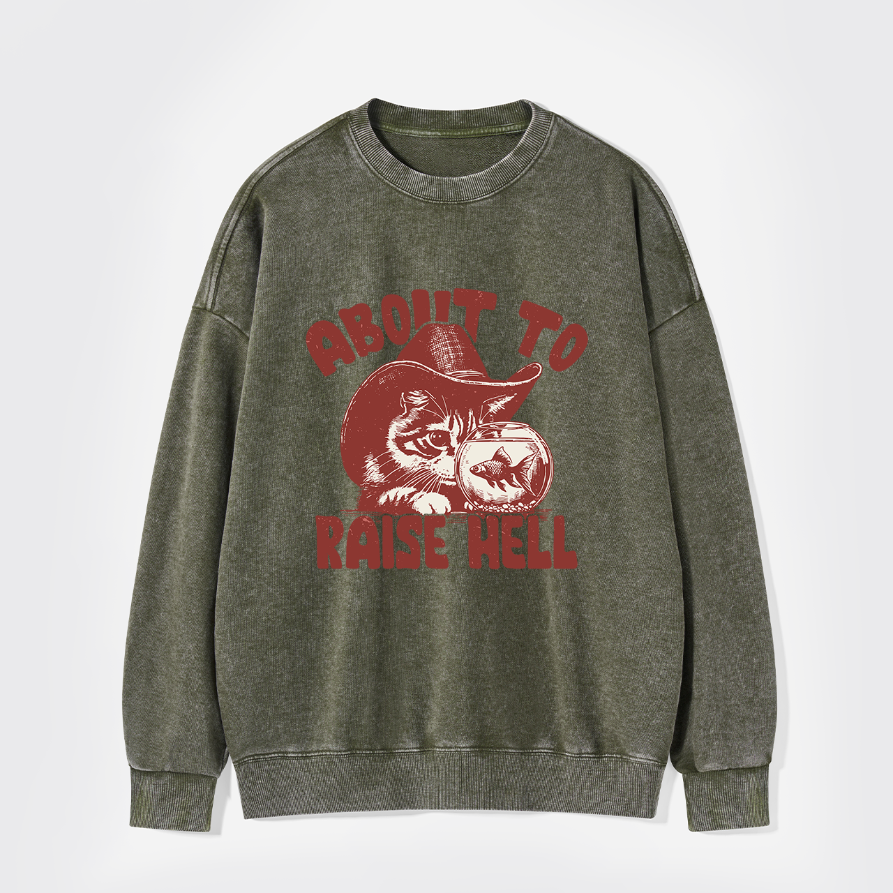 About To Raise Hell Washed Sweatshirts