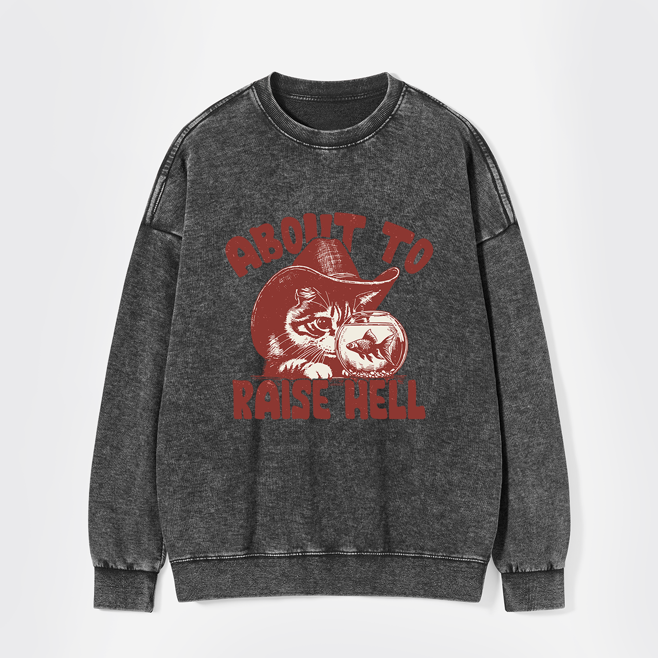 About To Raise Hell Washed Sweatshirts