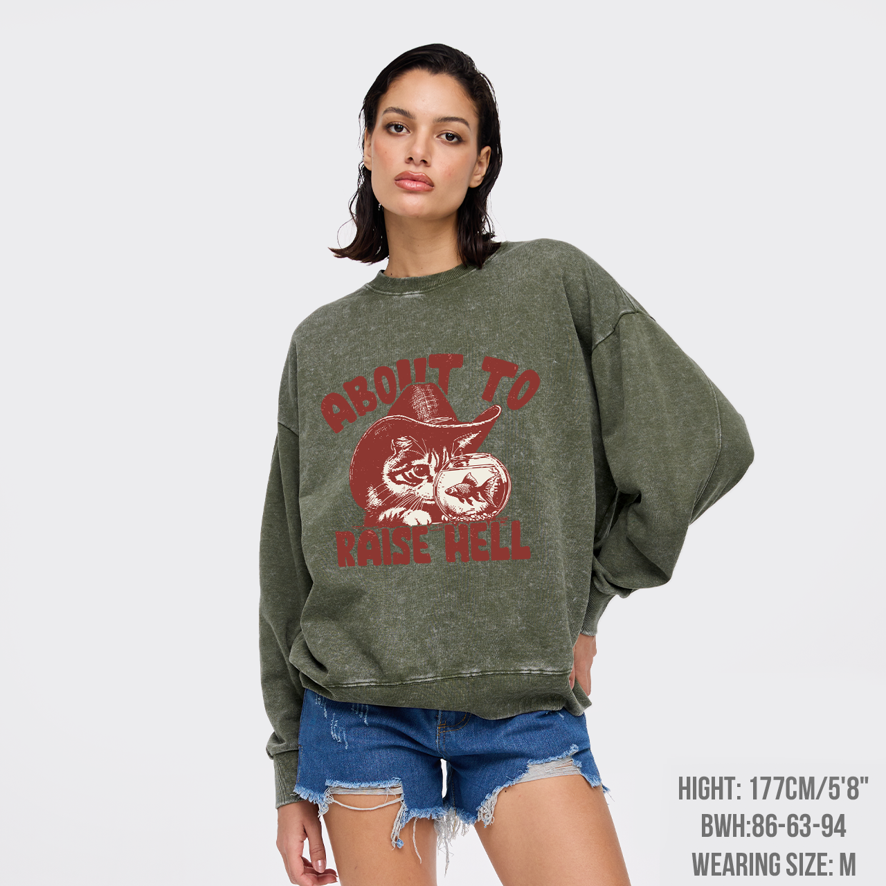 About To Raise Hell Washed Sweatshirts