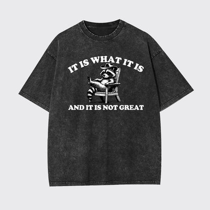 It Is What It Is And It Is Not Great Garment-dye Tees