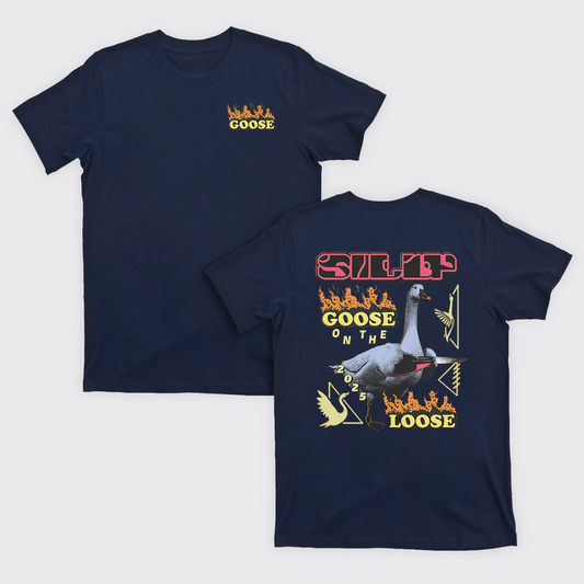 Silly Goose On The 2025 Loose T-Shirts