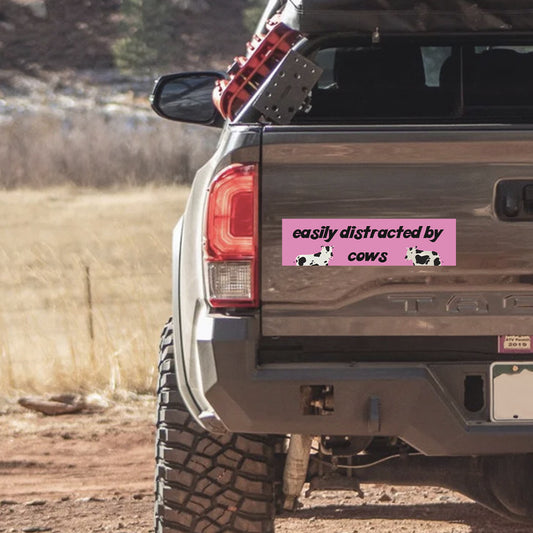 Cows - Bumper Magnet