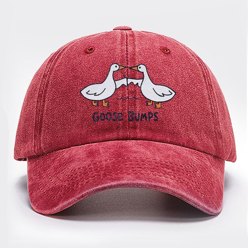 Goose Bump Embroidered Baseball Cap
