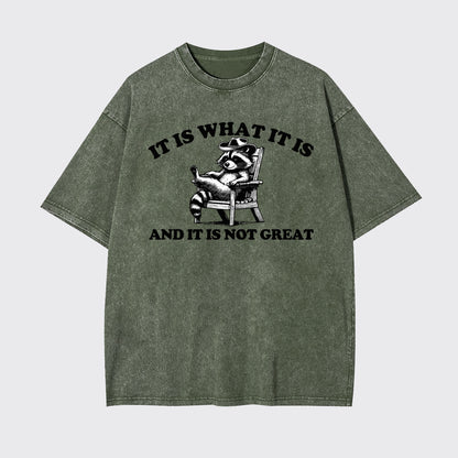 It Is What It Is And It Is Not Great Garment-dye Tees