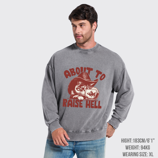 About To Raise Hell Washed Sweatshirts