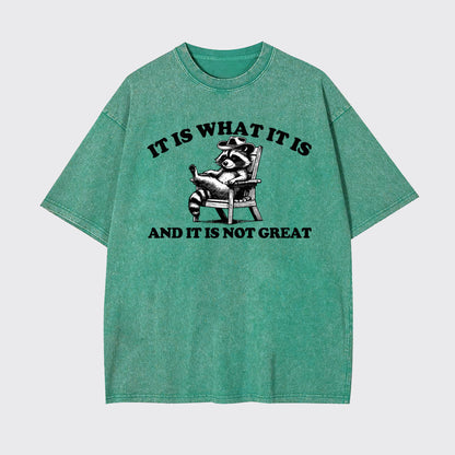 It Is What It Is And It Is Not Great Garment-dye Tees
