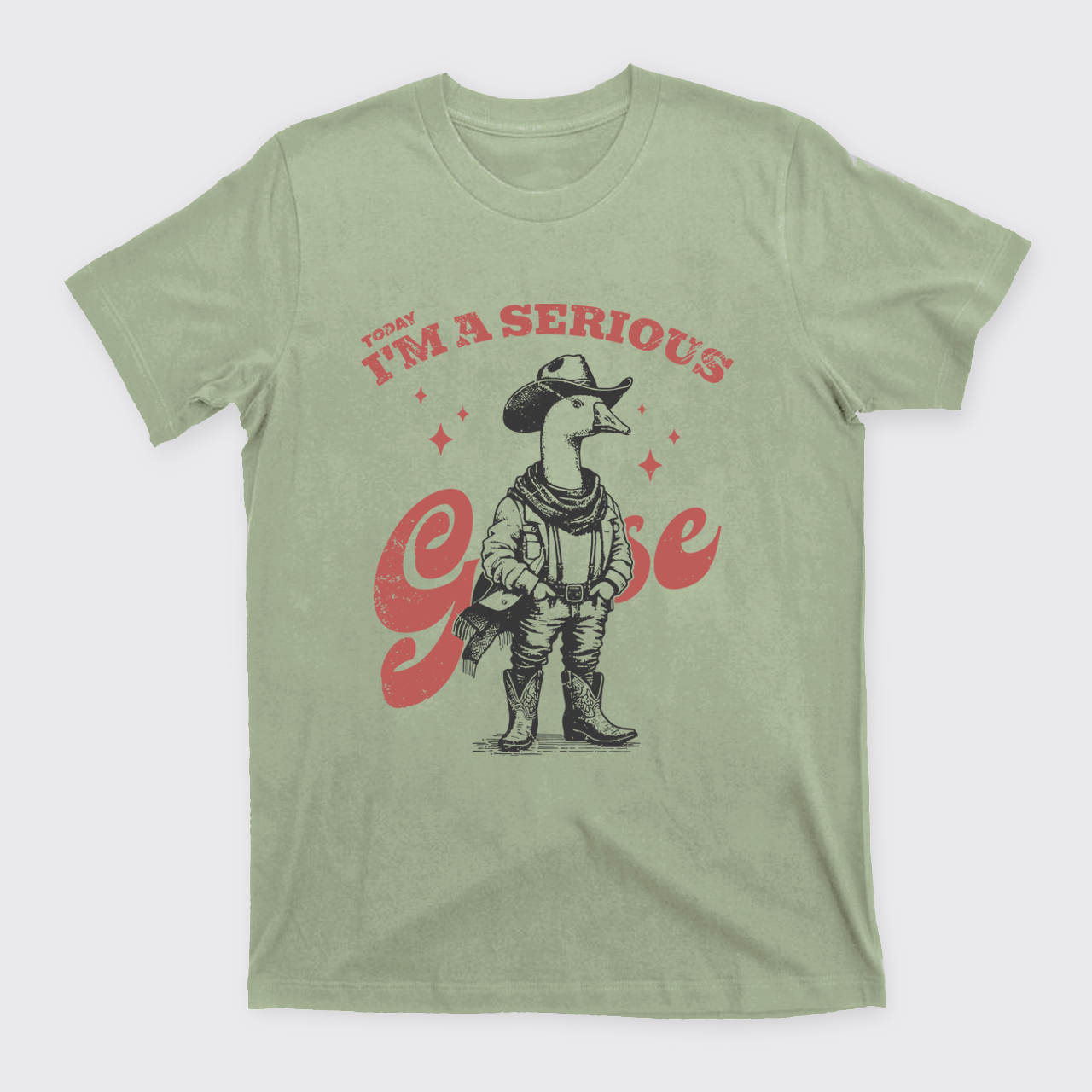 Today I'm A Serious Goose T-Shirts