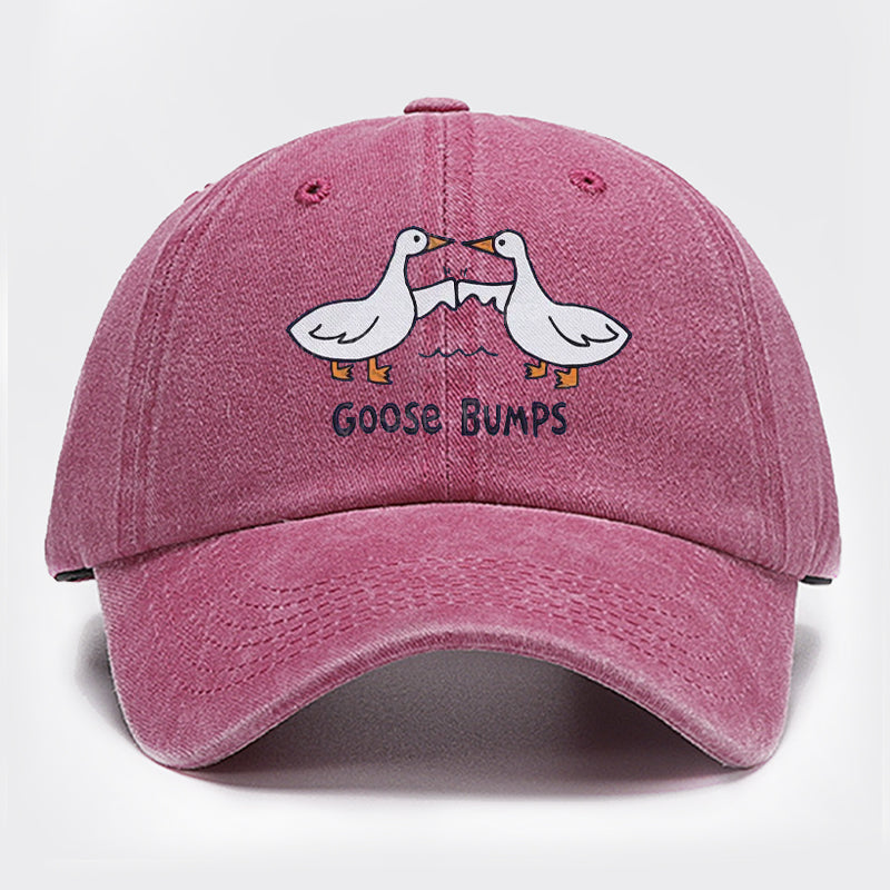 Goose Bump Embroidery Washed Hat