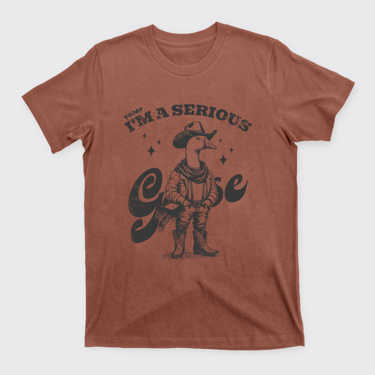 Today I'm A Serious Goose T-Shirts