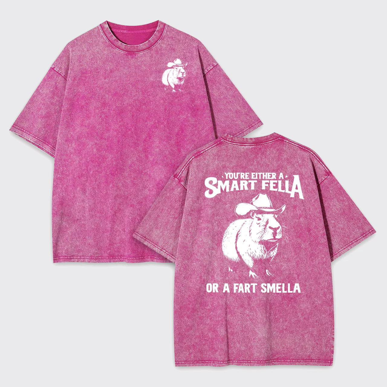 Retro Smart Fella Capybara 90s Garment-dye Tees