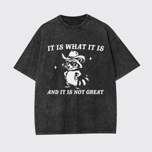 It Is What It Is And It Is Not Great Garment-dye Tees