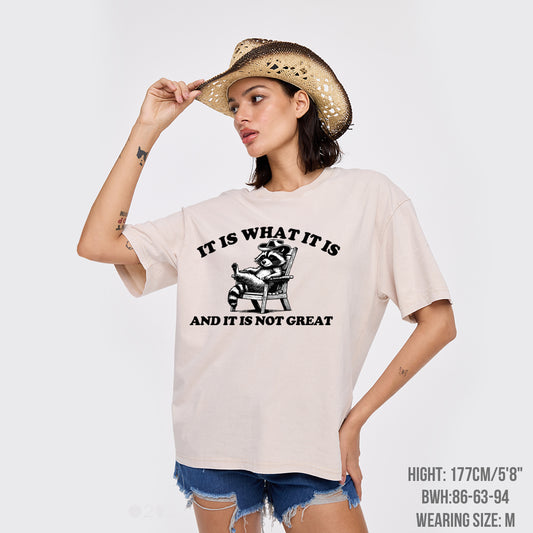 It Is What It Is And It Is Not Great Garment-dye Tees